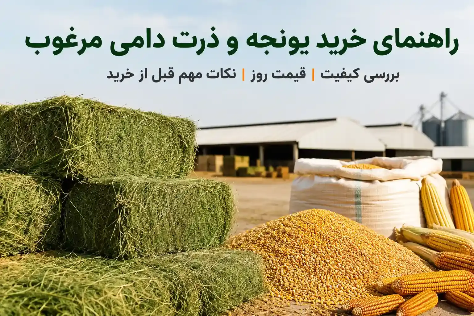 راهنمای خرید یونجه و ذرت دامی مرغوب؛ بررسی کیفیت, قیمت روز و نکات مهم قبل از خرید