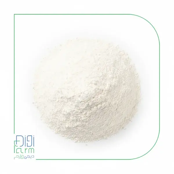 پروتیین شیر 