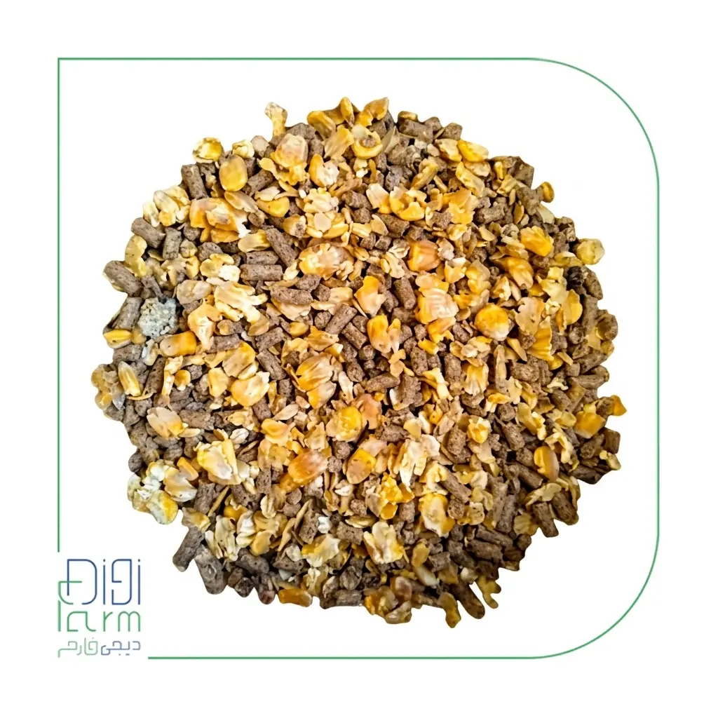 استارتر آجیلی گوساله 