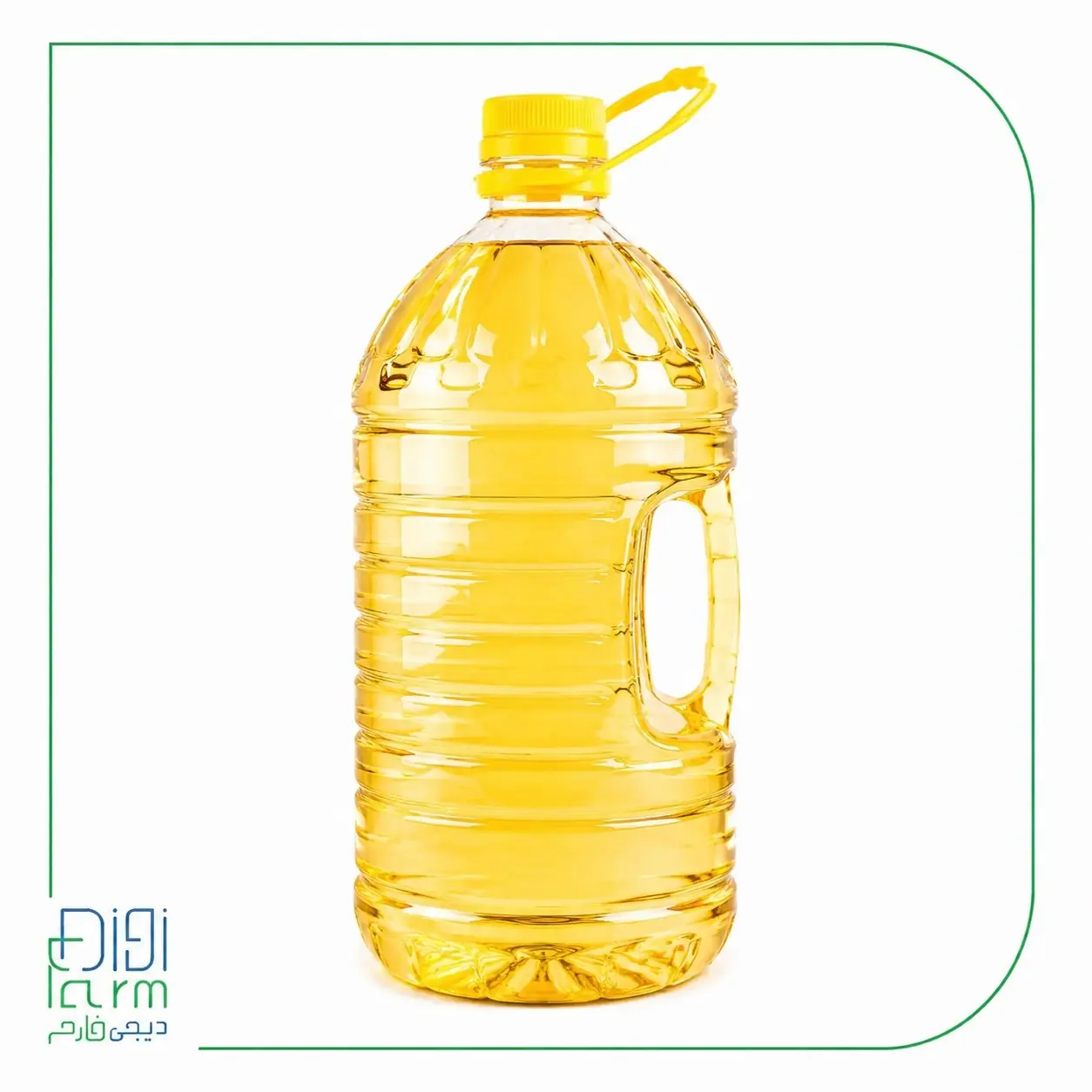 روغن های گیاهی 