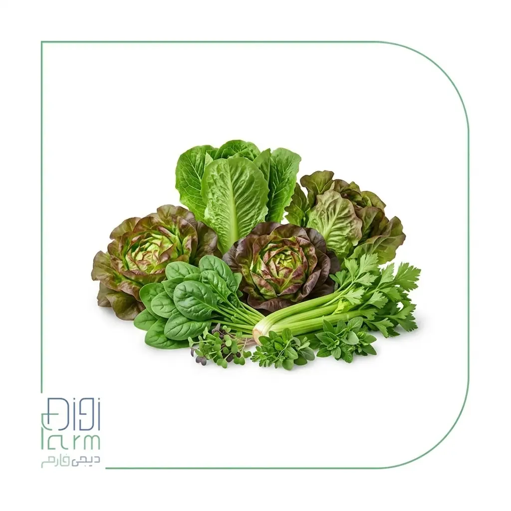 سبزیجات گلخانه‌ای
