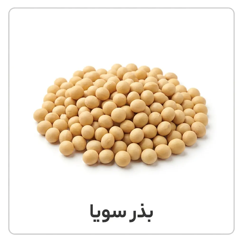 بذر سویا