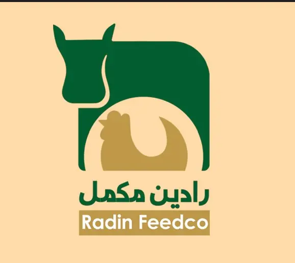 فروشگاه رادین تجارت راشا 