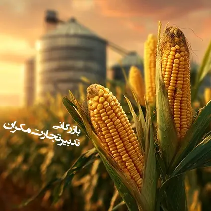 فروشگاه مهدی جمالیان
