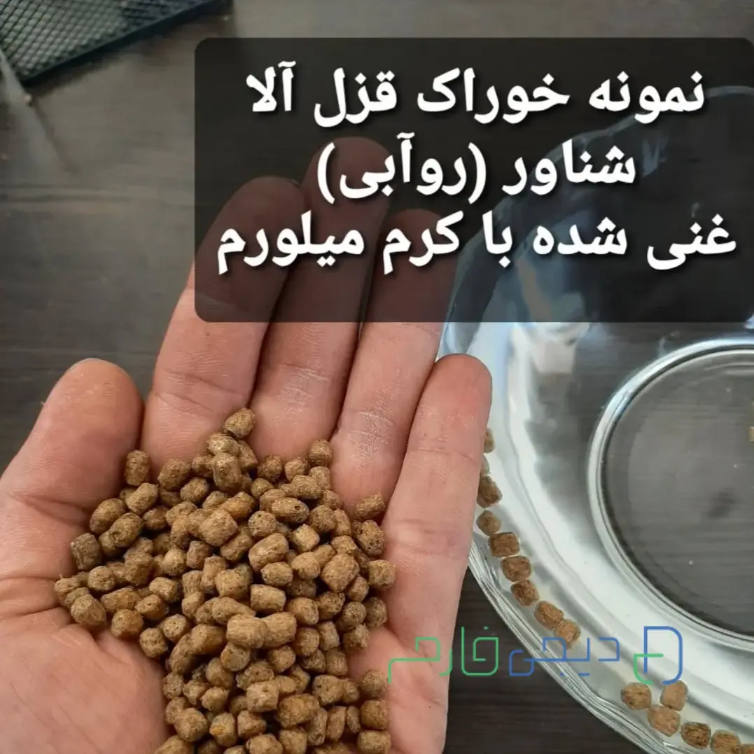 کنجاله پروتئینی حشرات ۲