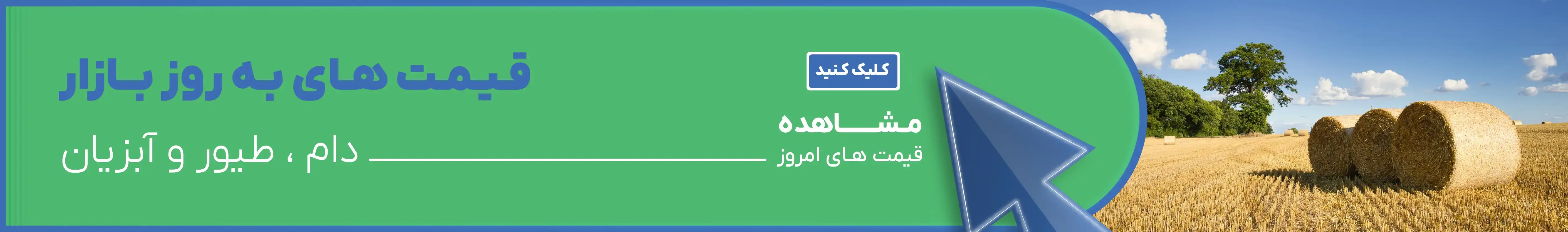 دیجی فارم، فضای همکاری و اعتماد میان فروشندگان و خریداران